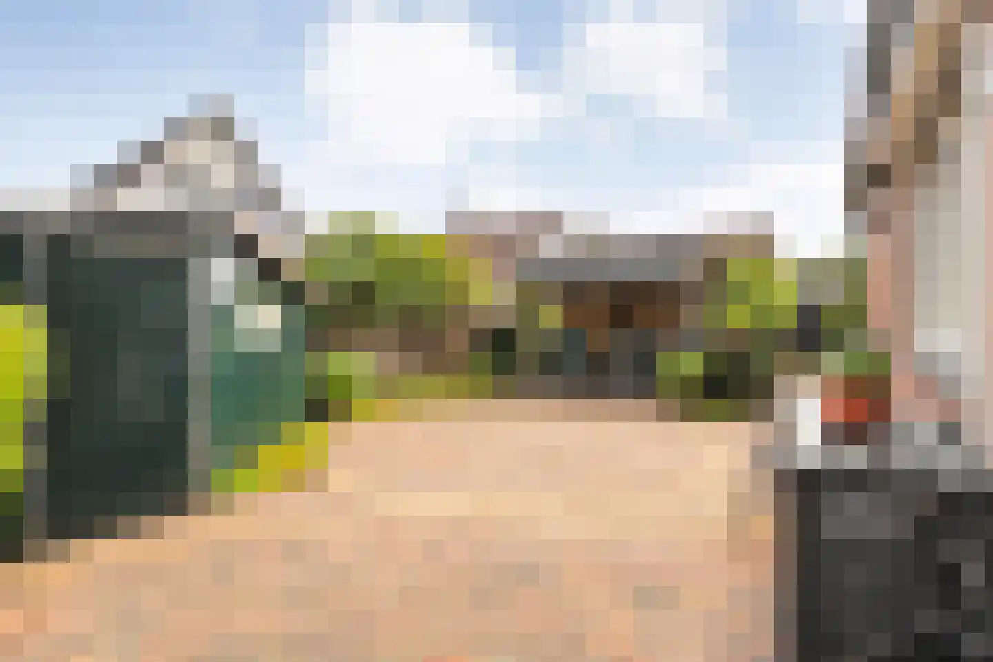 Tulpenboom 24 Heino thumbnail 27