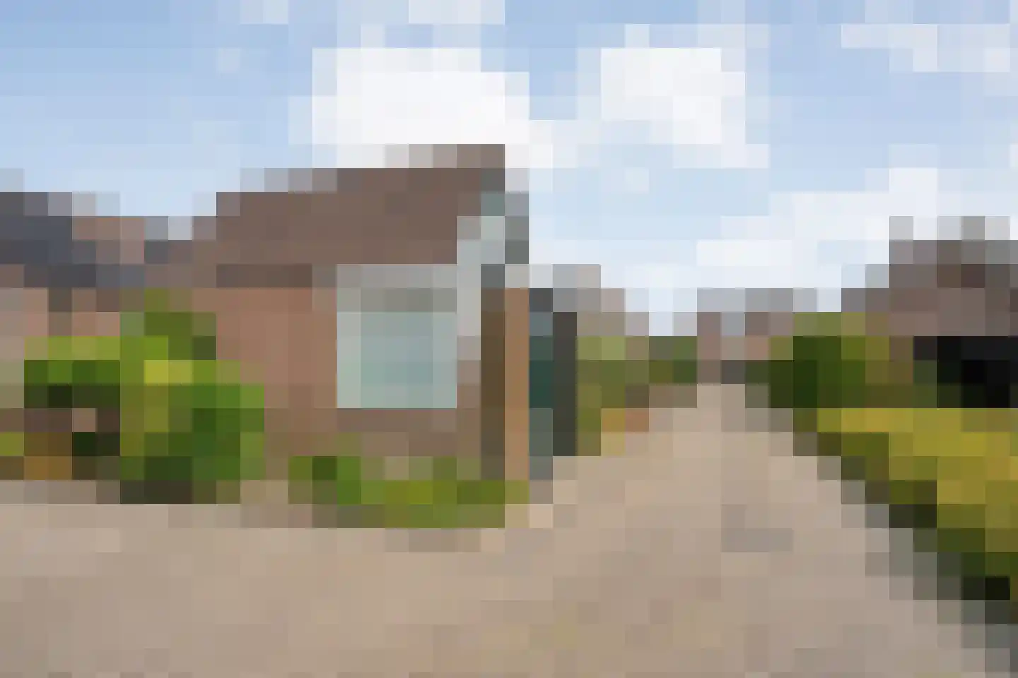 Tulpenboom 24 Heino thumbnail 6