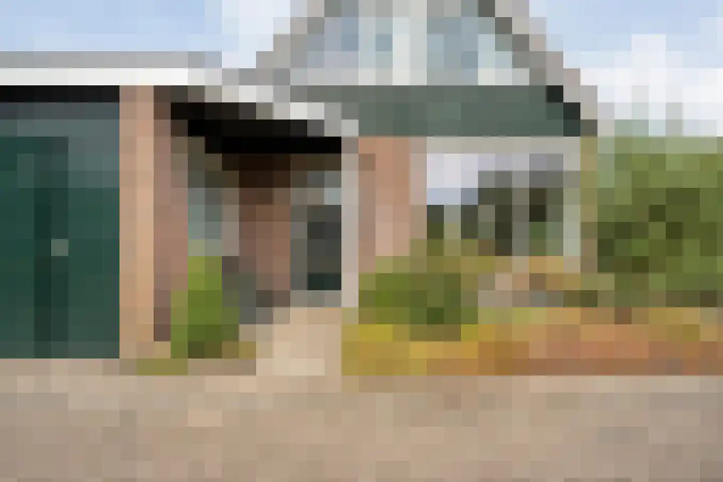 Tulpenboom 24 Heino thumbnail 7