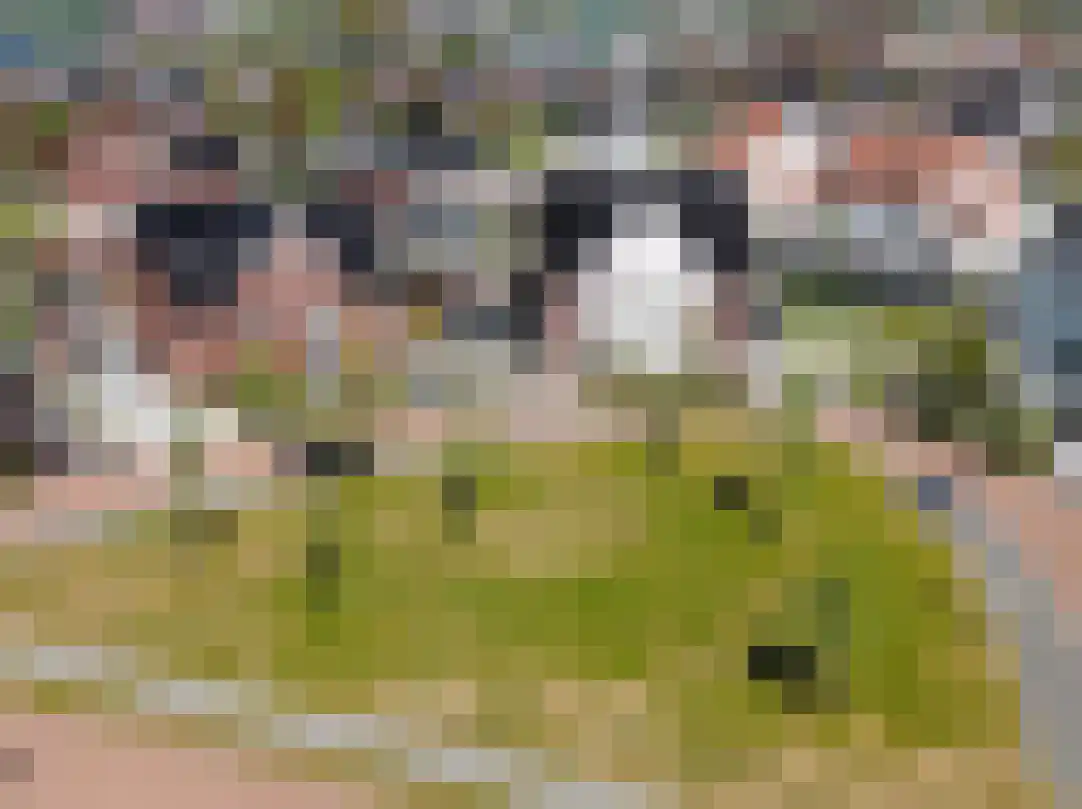 Tulpenboom 32 Cuijk thumbnail 43