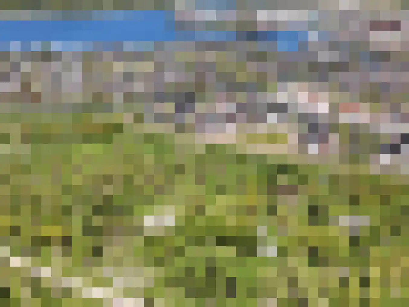 Tulpenboom 32 Cuijk thumbnail 44