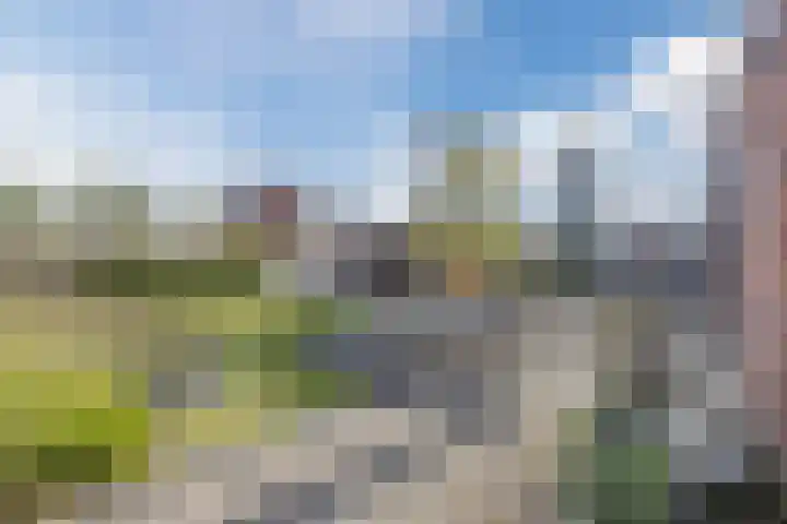 Tulpenboom 36 Cuijk thumbnail 4