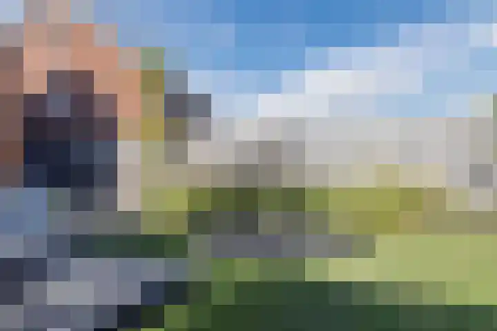 Tulpenboom 36 Cuijk thumbnail 41