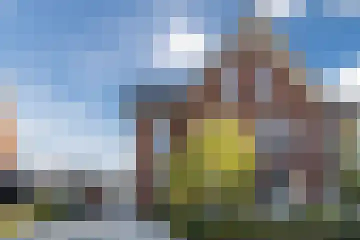 Tulpenboom 36 Cuijk thumbnail 5