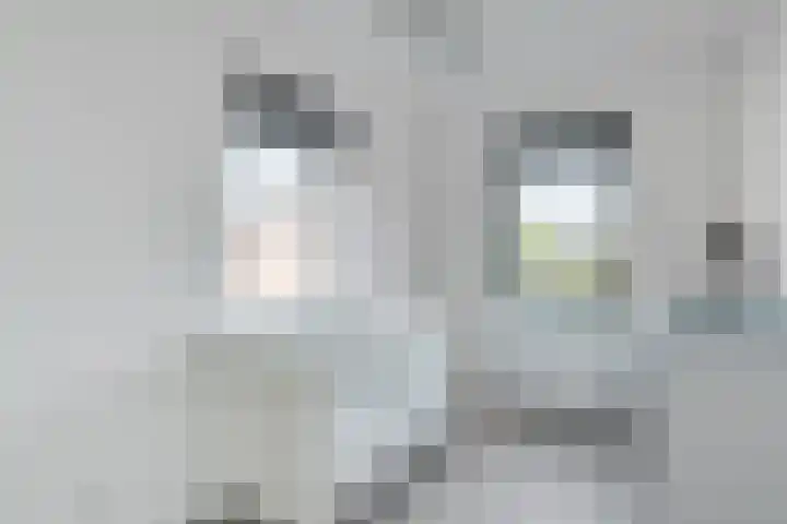 Tulpenburgh 24 Obdam thumbnail 23
