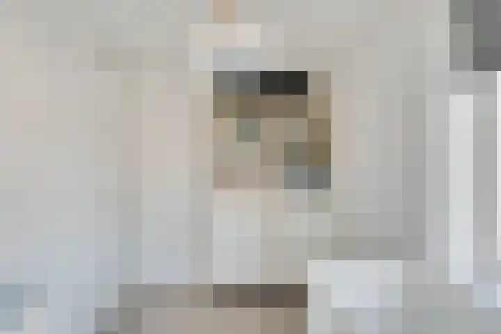 Tulpenburgh 24 Obdam thumbnail 26