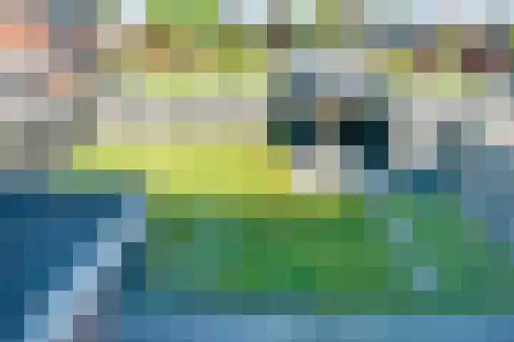 Tulpenburgh 24 Obdam thumbnail 47