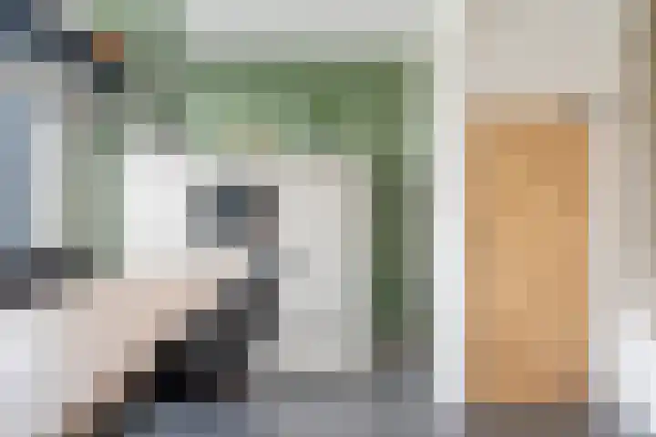 Tulpenburgh 33 Assendelft thumbnail 10