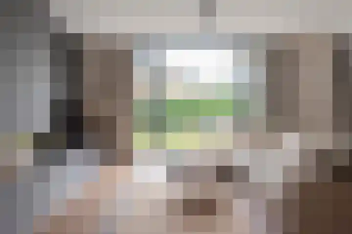 Tulpenburgh 33 Assendelft thumbnail 12