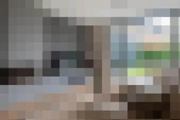 Tulpenburgh 33 Assendelft thumbnail 13