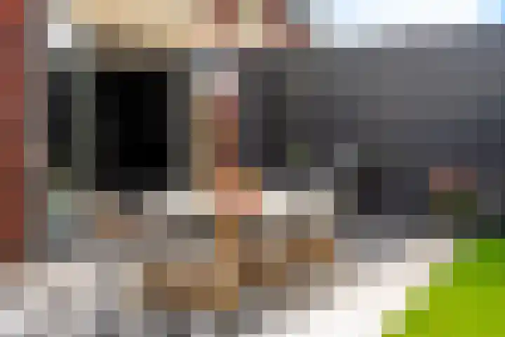 Tulpenburgh 33 Assendelft thumbnail 24
