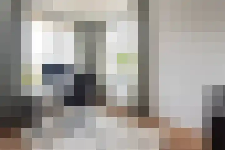 Tulpenburgh 33 Assendelft thumbnail 31