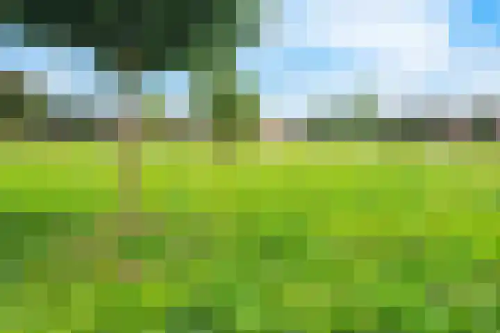 Tulpenburgh 33 Assendelft thumbnail 36