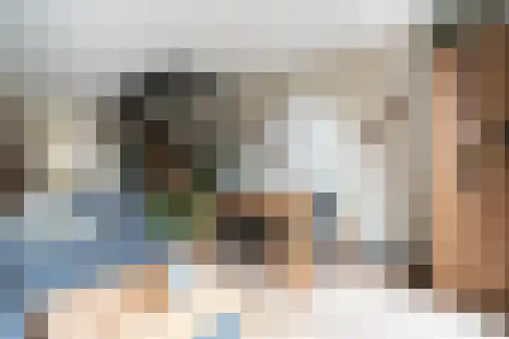 Tulpenburgh 41 A Assendelft thumbnail 15