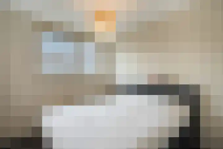 Tulpenburgh 41 A Assendelft thumbnail 22