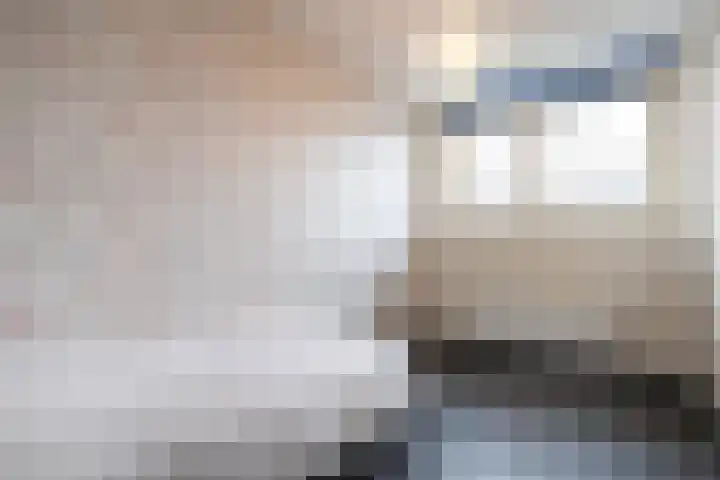 Tulpenburgh 41 A Assendelft thumbnail 24