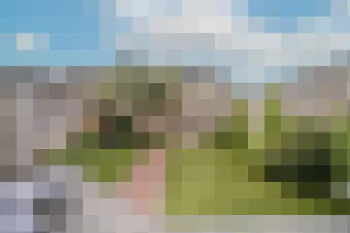 Tulpenburgh 41 A Assendelft thumbnail 35