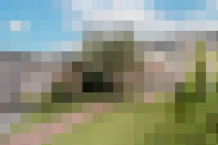 Tulpenburgh 41 A Assendelft thumbnail 36