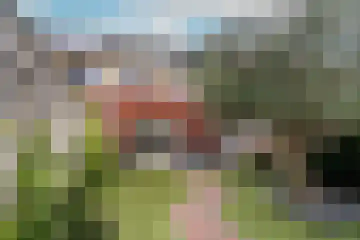 Tulpenburgh 41 A Assendelft thumbnail 37