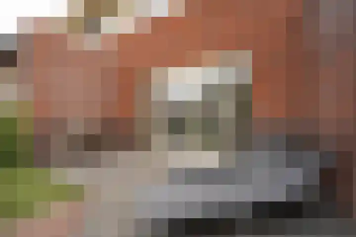Tulpenburgh 41 A Assendelft thumbnail 38