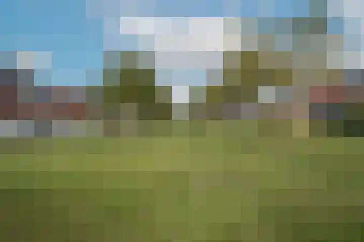 Tulpenburgh 41 A Assendelft thumbnail 40