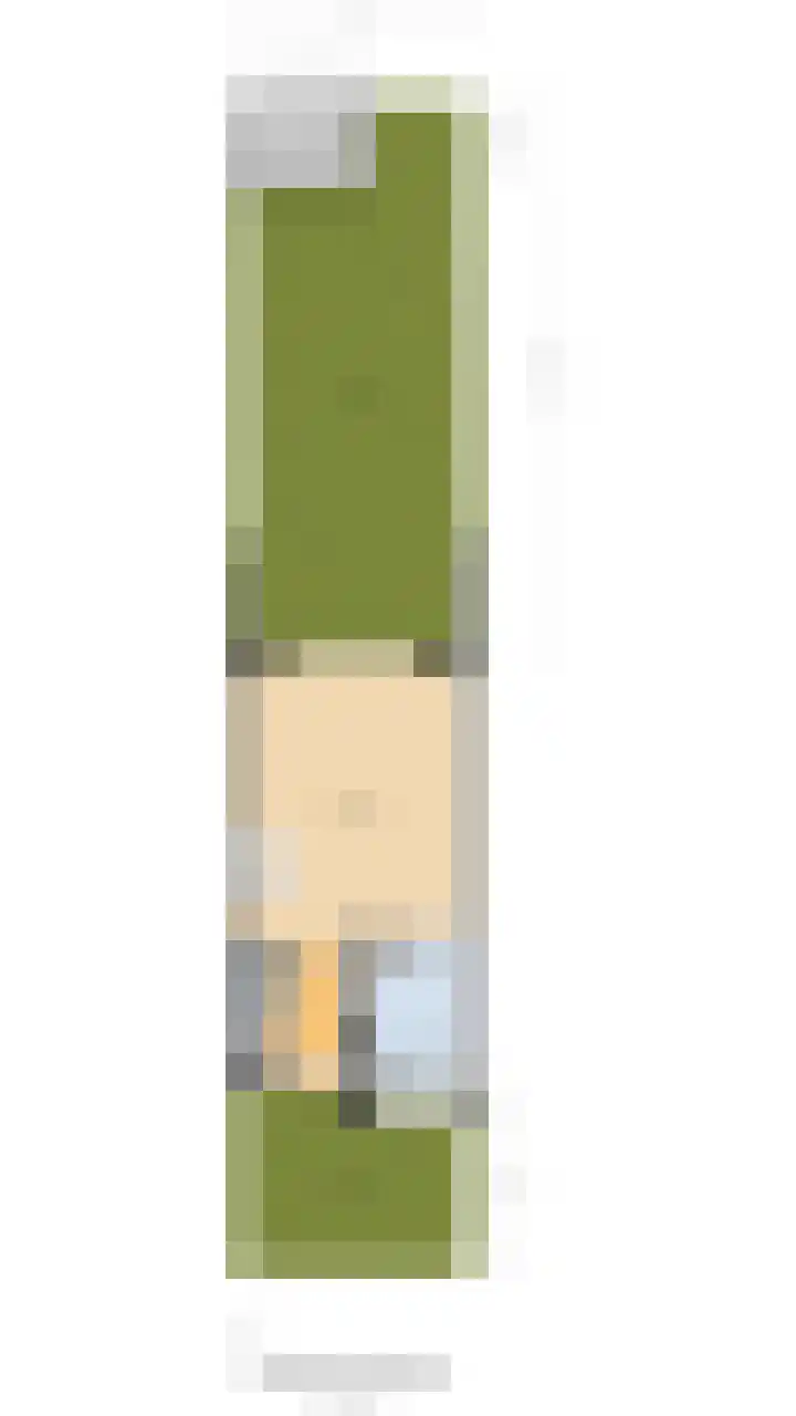 Tulpenburgh 41 A Assendelft thumbnail 41