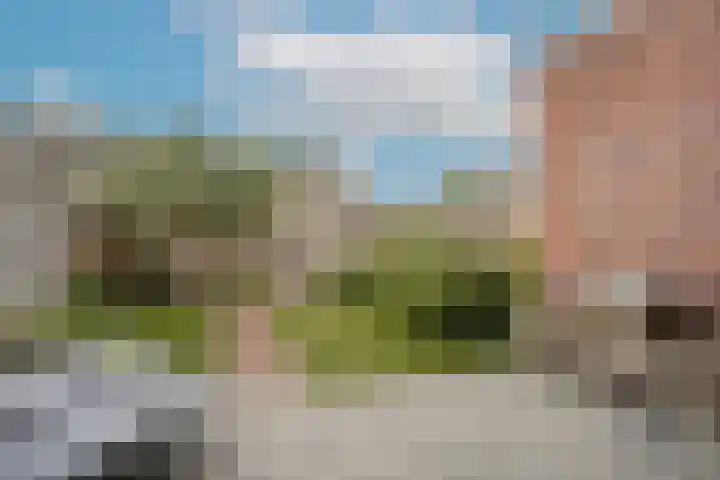 Tulpenburgh 41 A Assendelft thumbnail 5