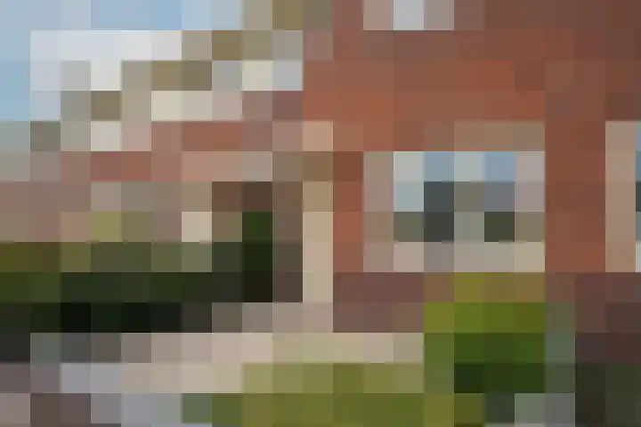 Tulpenburgh 41 A Assendelft thumbnail 7