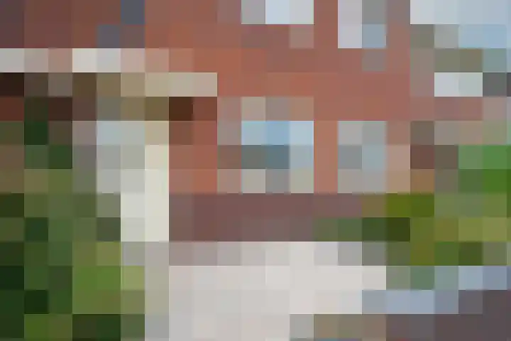Tulpenburgh 41 A Assendelft thumbnail 8