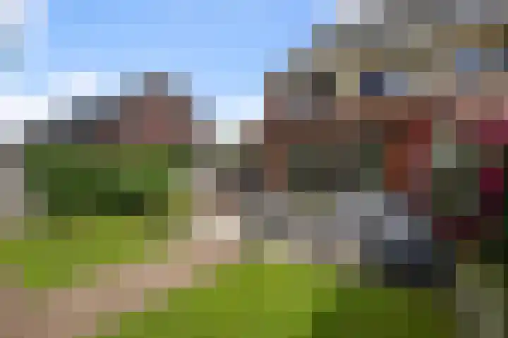 Tulpenburgh 41 C Assendelft thumbnail 11