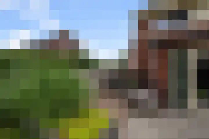 Tulpenburgh 41 C Assendelft thumbnail 12
