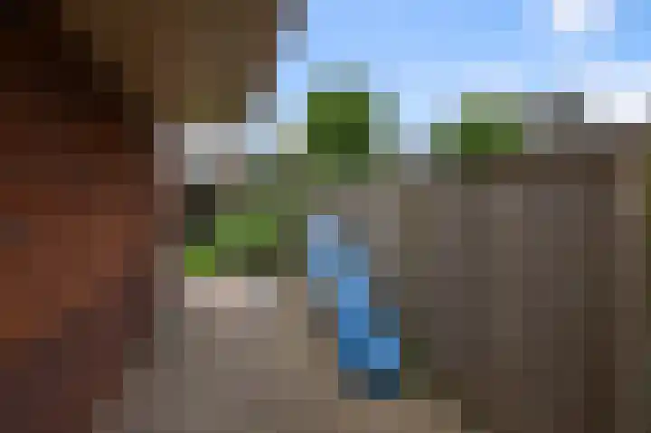 Tulpenburgh 41 C Assendelft thumbnail 13