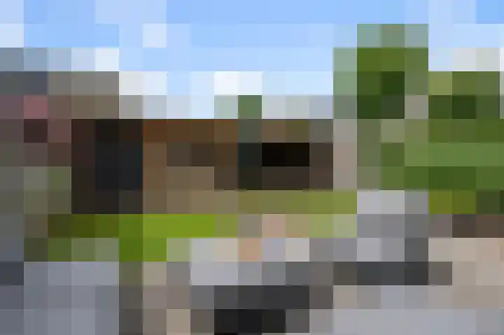 Tulpenburgh 41 C Assendelft thumbnail 15