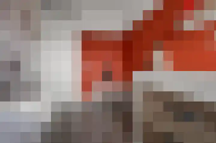 Tulpenburgh 41 C Assendelft thumbnail 20