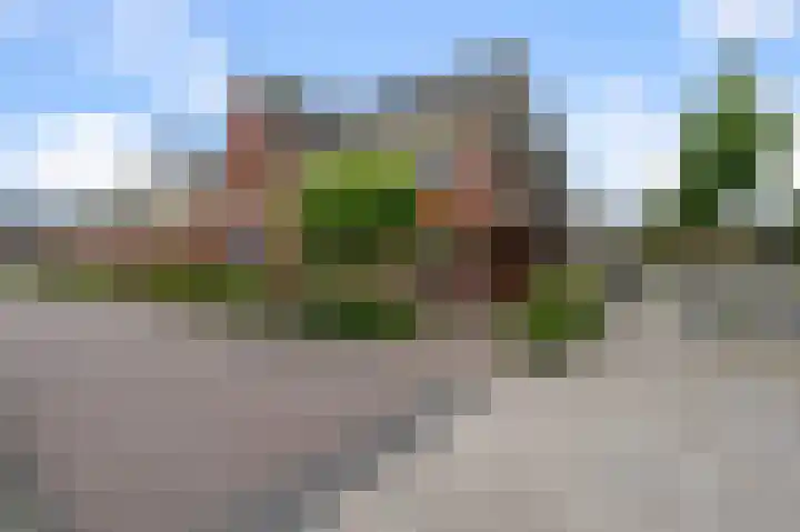 Tulpenburgh 41 C Assendelft thumbnail 31