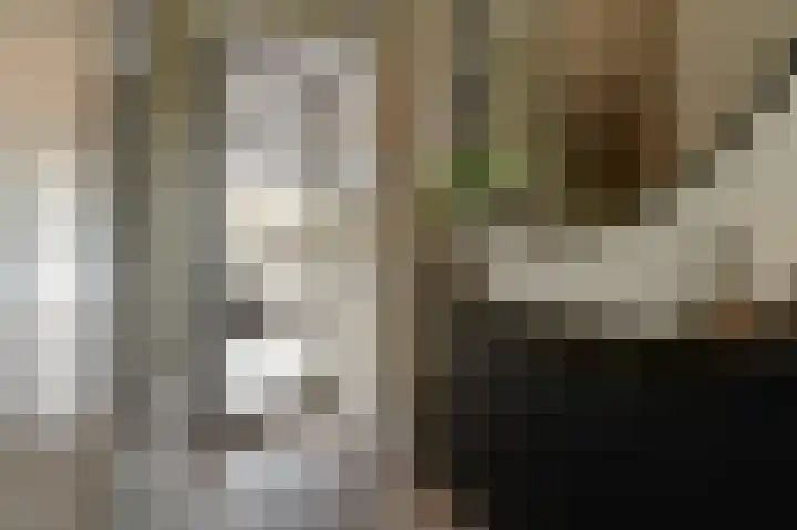 Tulpenburgh 41 C Assendelft thumbnail 4