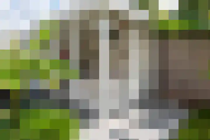 Tulpencroftlaan 28 Heiloo thumbnail 47
