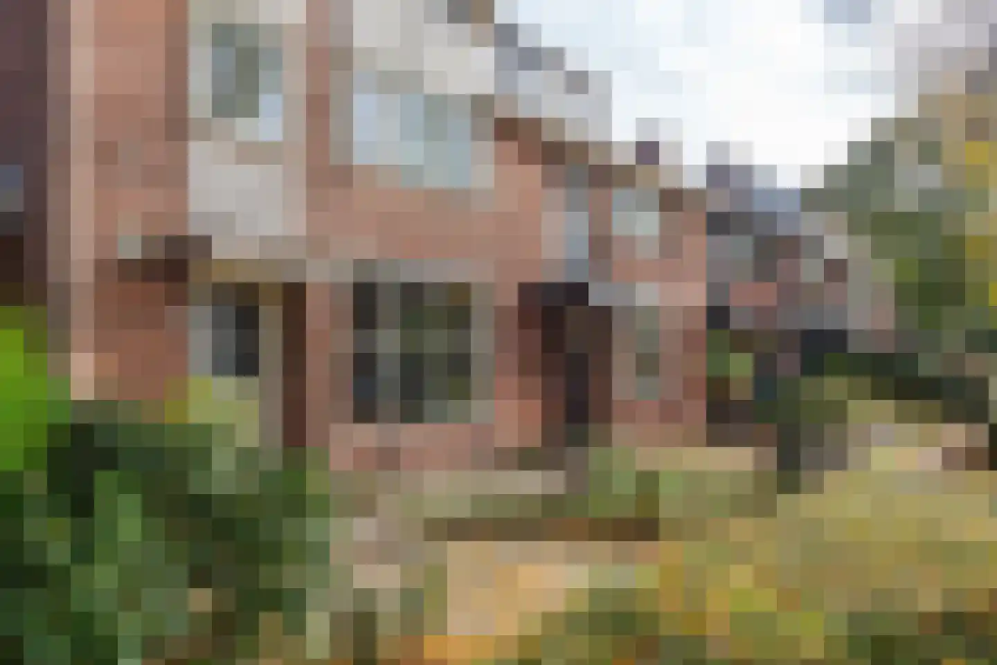 Tulpencroftlaan 38 Heiloo thumbnail 53