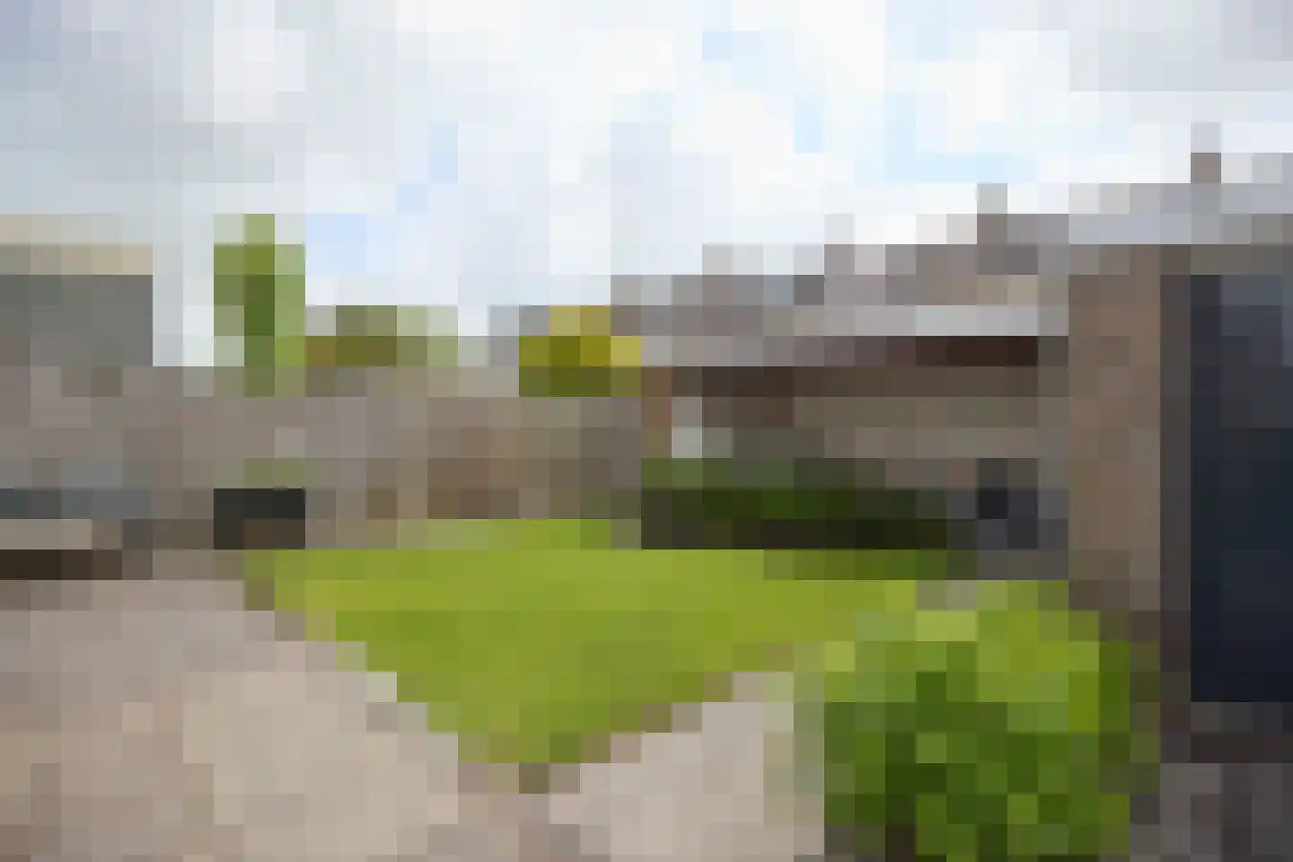 Tulpenhof 11 De Goorn thumbnail 48