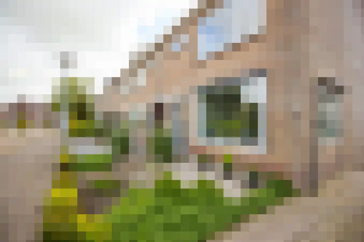 Tulpenhof 11 De Goorn thumbnail 5