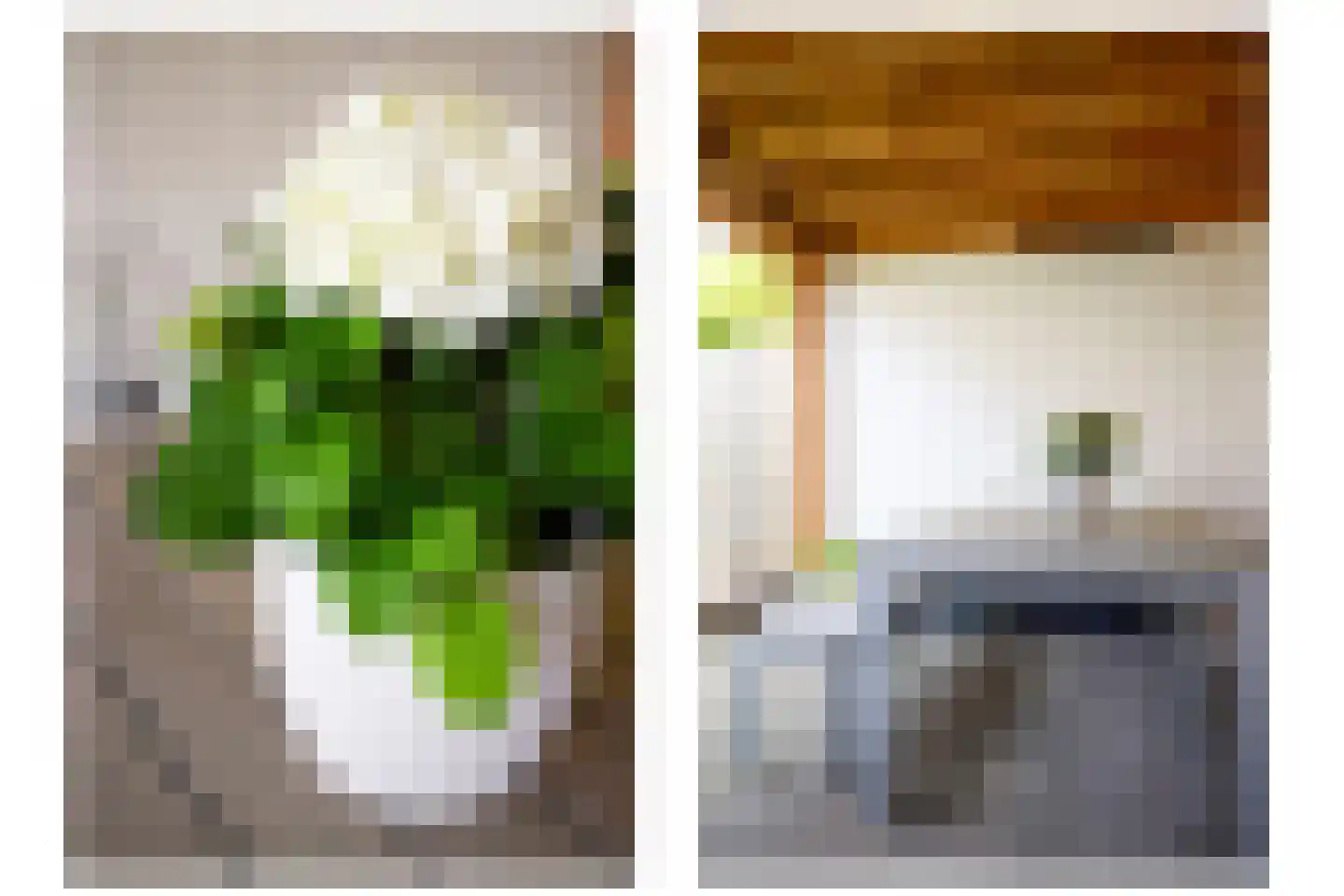 Tulpenhof 11 De Goorn thumbnail 50