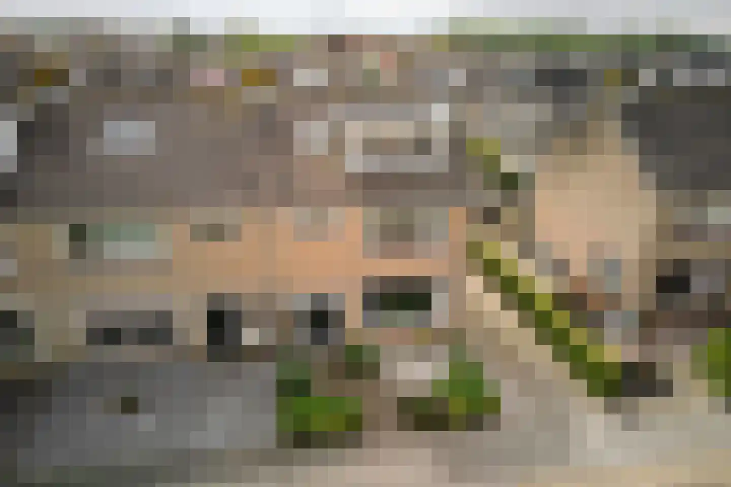 Tulpenhof 11 De Goorn thumbnail 56