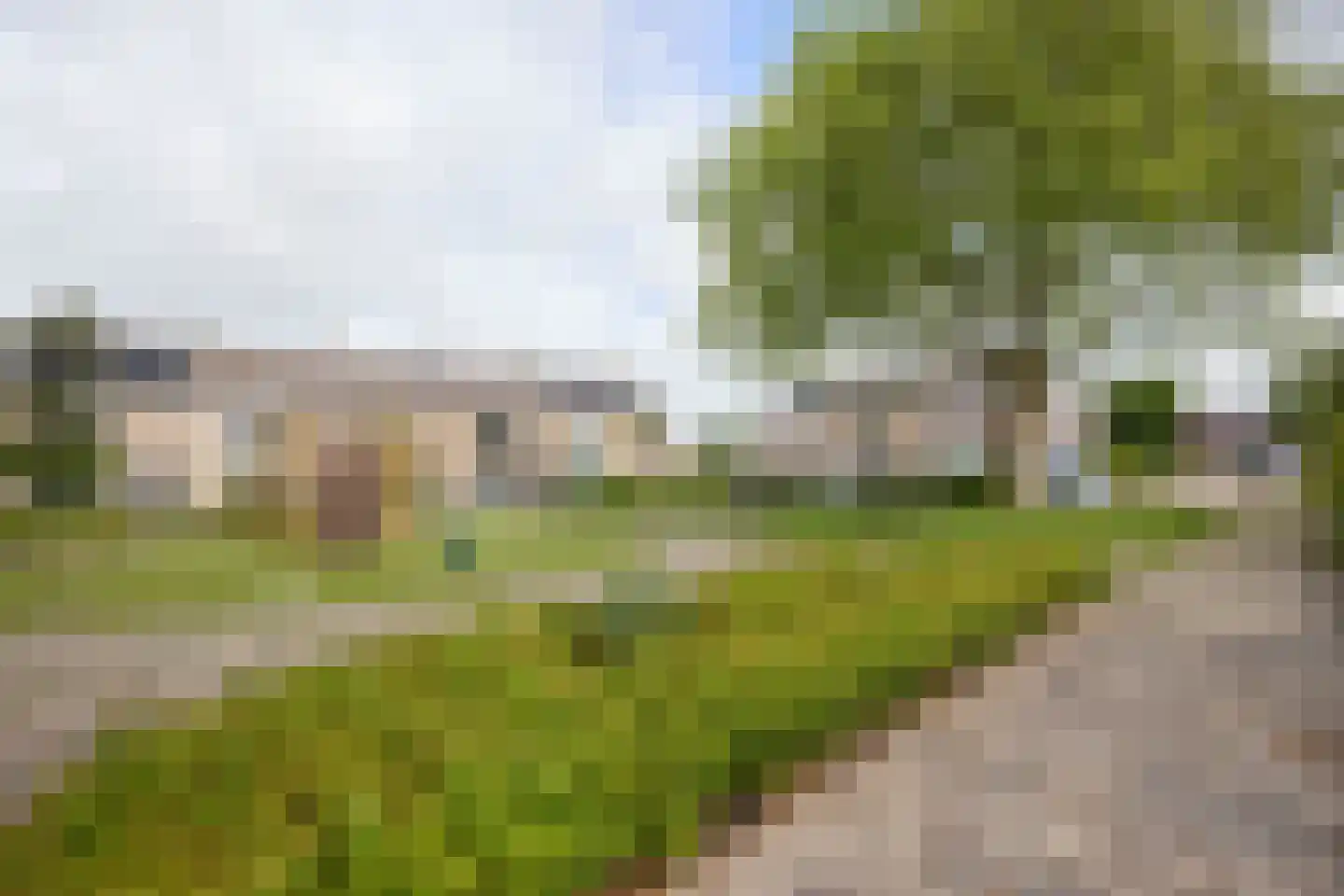Tulpenhof 11 De Goorn thumbnail 58