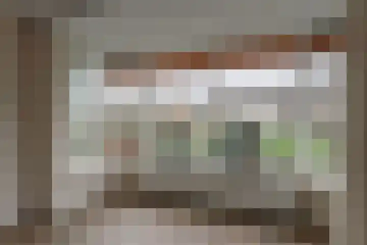 Tulpenhof 19 De Goorn thumbnail 11