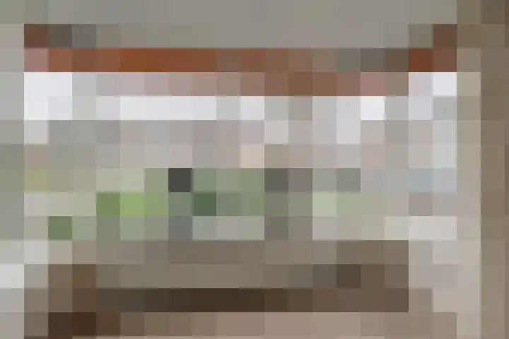 Tulpenhof 19 De Goorn thumbnail 12