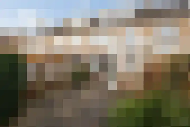 Tulpenhof 19 De Goorn thumbnail 4