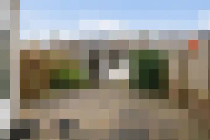 Tulpenhof 19 De Goorn thumbnail 5