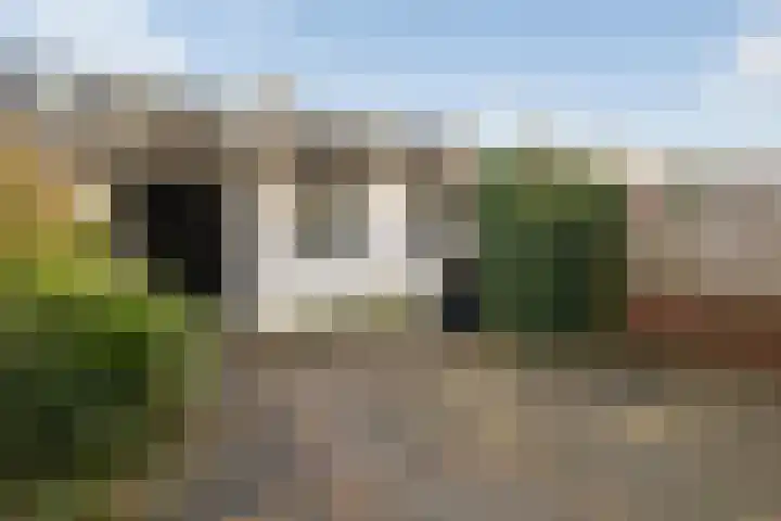 Tulpenhof 19 De Goorn thumbnail 50