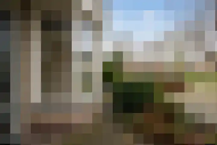 Tulpenhof 19 De Goorn thumbnail 56