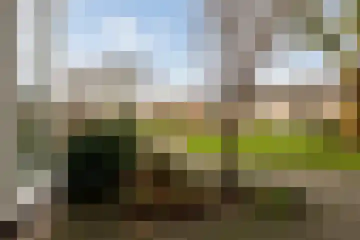 Tulpenhof 19 De Goorn thumbnail 57